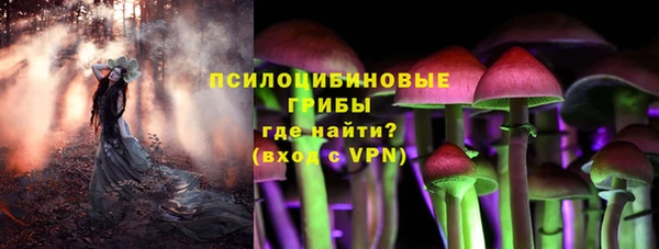 молекула духа Нягань