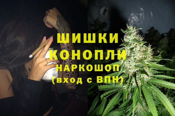 молекула духа Нягань