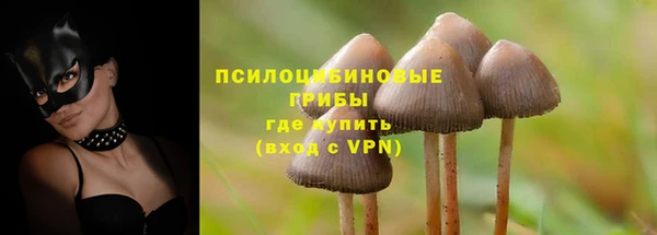 молекула духа Нягань