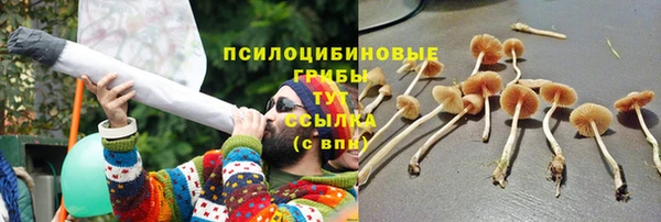 молекула духа Нягань