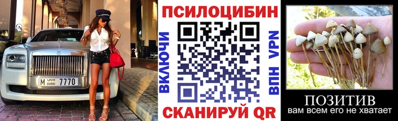 Псилоцибиновые грибы Psilocybe  купить закладку  Кукмор 